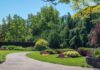 5 Questions to Ask Yourself Before Starting your Landscaping Project