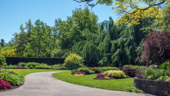 5 Questions to Ask Yourself Before Starting your Landscaping Project