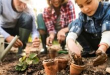 Home Gardening as a Rewarding Hobby