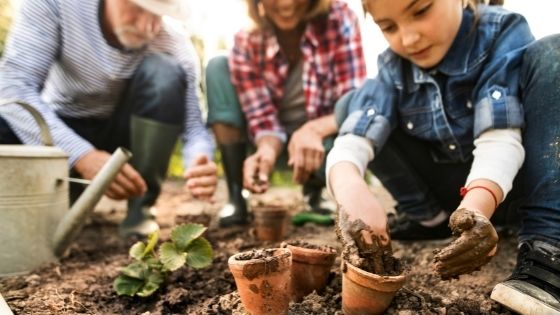 Home Gardening as a Rewarding Hobby