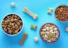 5 Tips in Choosing The Best Pet Food in Singapore