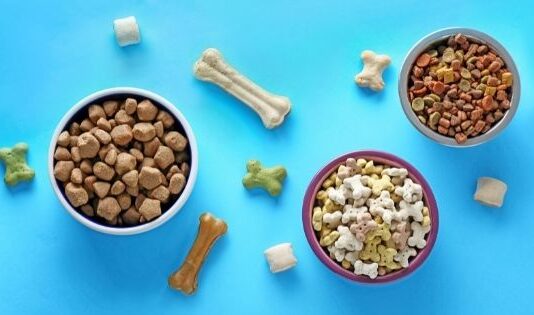 5 Tips in Choosing The Best Pet Food in Singapore