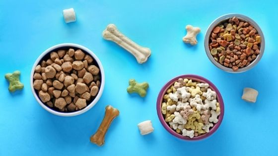 5 Tips in Choosing The Best Pet Food in Singapore