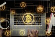 Bitcoin or Esports - Investment Strategy