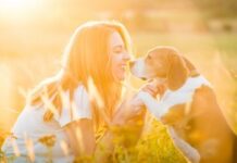 Steps to Improve Your Sporting Dogs Performance