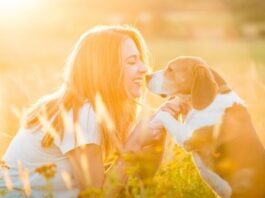 Steps to Improve Your Sporting Dogs Performance
