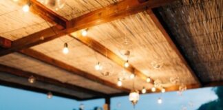 4 Ideas to Decorate Your Backyard With LED Lights