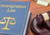 Deportation Laws - 3 Legal Suggestions that Could Make All the Difference