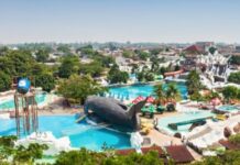 A Guide to Maximising Your Experience At Waterparks