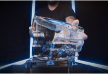 The Magic of a Party Ice Luge - 7 Unique and Instagram-Worthy Party Theme Ideas for 2021