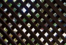 Here’s Why Composite Garden Screens Are A Welcome Addition to Any Garden