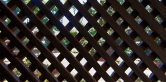 Here’s Why Composite Garden Screens Are A Welcome Addition to Any Garden