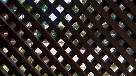 Here’s Why Composite Garden Screens Are A Welcome Addition to Any Garden