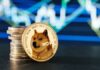 4 Questions to Answer Before You Buy Dogecoin