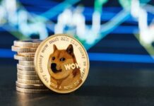4 Questions to Answer Before You Buy Dogecoin