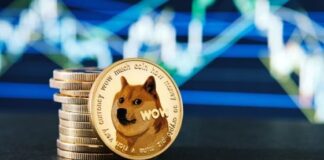 4 Questions to Answer Before You Buy Dogecoin