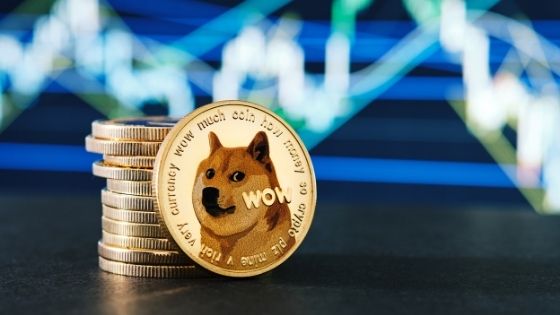 4 Questions to Answer Before You Buy Dogecoin