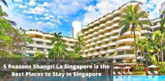 5 Reasons Shangri La Singapore is the Best Places to Stay in Singapore