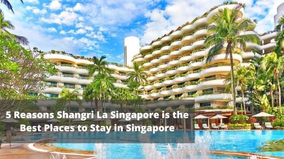 5 Reasons Shangri La Singapore is the Best Places to Stay in Singapore