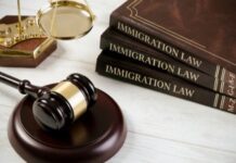 Situations in Which an Immigration Lawyer Proves to be Invaluable