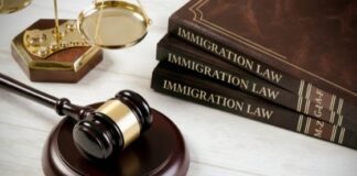 Situations in Which an Immigration Lawyer Proves to be Invaluable