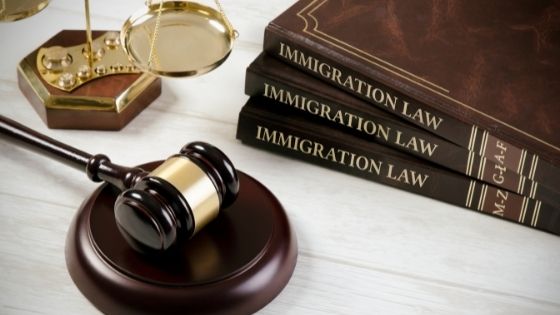 Situations in Which an Immigration Lawyer Proves to be Invaluable