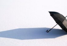 Why You Need a Windproof Umbrella That Can Handle the Elements