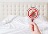 Interesting Facts About Bed Bugs