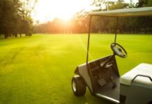 The Top 3 Reasons to Buy a Type of Golf Cart