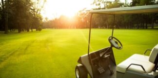 The Top 3 Reasons to Buy a Type of Golf Cart