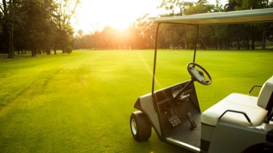 The Top 3 Reasons to Buy a Type of Golf Cart