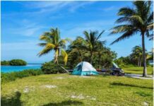 The Best Tips for a Camping Trip in Miami