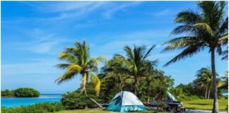 The Best Tips for a Camping Trip in Miami