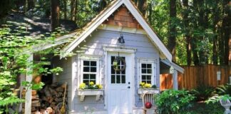 Things to Keep in Mind before Choosing a Garden Shed