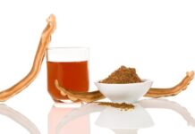 Mushroom Extract Powder