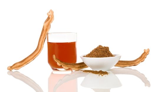 Mushroom Extract Powder