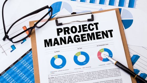 What is Project Management - Definition, Basics, And Benefits