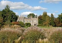 Top 10 Activities To Do In Cotswold Wildlife Park