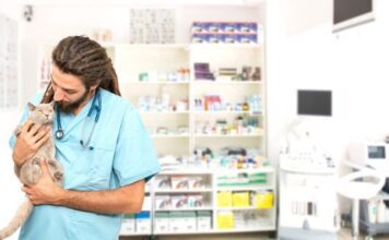 How to Start Your Own Private Veterinary Practice