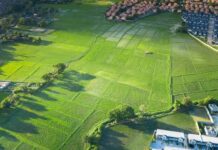 What to Do If You Find Oil on Your Land