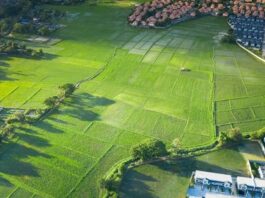 What to Do If You Find Oil on Your Land