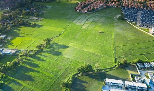 What to Do If You Find Oil on Your Land