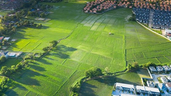 What to Do If You Find Oil on Your Land