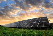 6 Reasons to Go Green and Switch to Solar Energy
