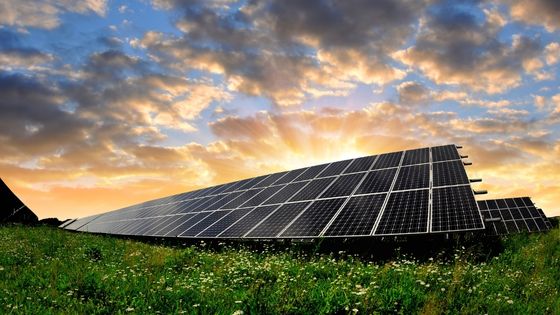 6 Reasons to Go Green and Switch to Solar Energy