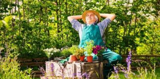 The Best Plants to Use For Your Garden Which Will Survive Every Climate