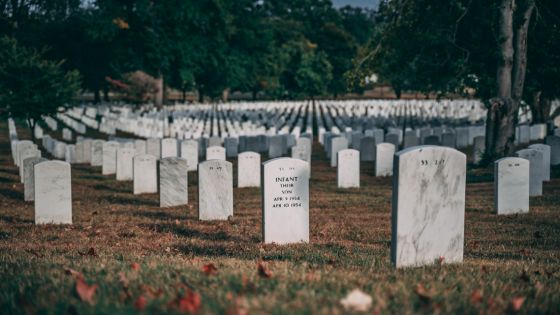 headstones spaced out in a cemetery site