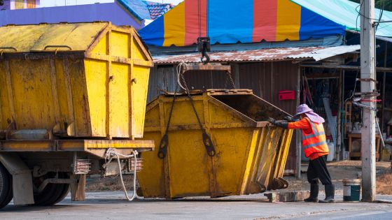 decluttering the desert a saga of tidiness and tranquility