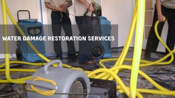 Where Can You Find Comprehensive Water Damage Restoration Services in Idaho?