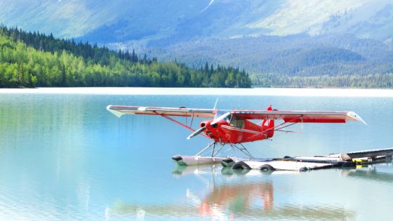 legal and regulatory aspects of purchasing a seaplane